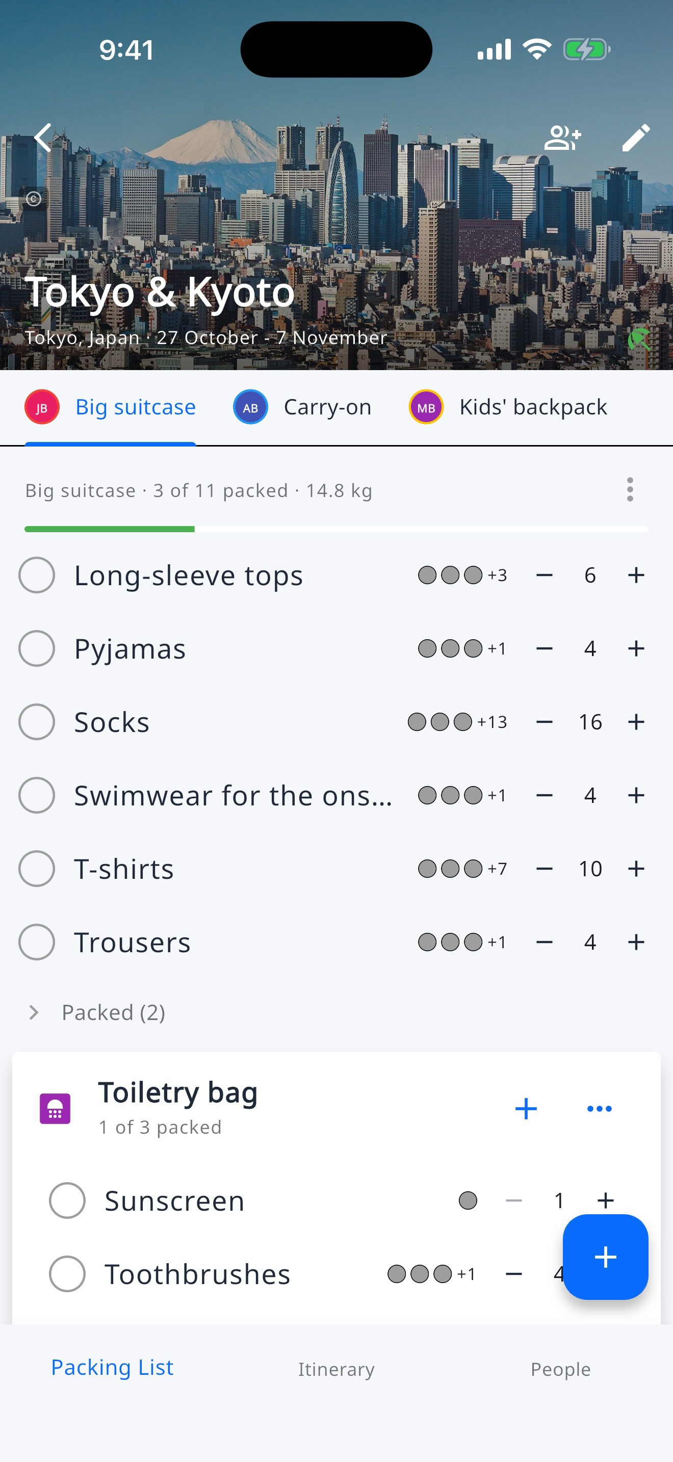 Example packing checklist organised by bag